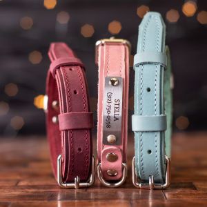 Customized Engraved Leather Dog Collar