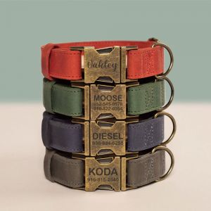 Customized Engraved Leather Dog Collar