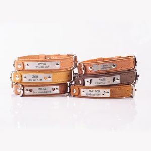 Customized Engraved Leather Dog Collar