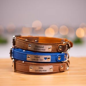 Customized Engraved Leather Dog Collar