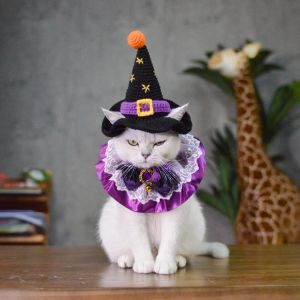 Scary Halloween Costume for Cats - The Witch Is Coming