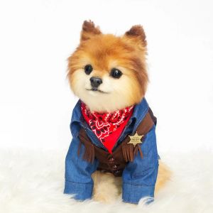 Scary Halloween Costume for Dogs - Cool Western Cowboy