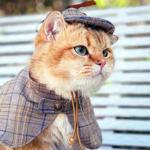 Scary Halloween Costume for Pets - Sherlock Holmes