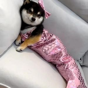 Scary Halloween Costume for Pets - Adorable Mermaid