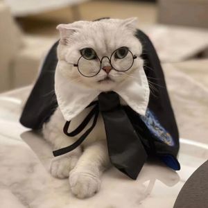 Scary Halloween Costume for Cats - Harry Potter