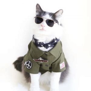 Scary Halloween Costume for Pets - American Soldiers