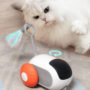 Remote Control Racing - Self Entertainment Electric Cat Toy