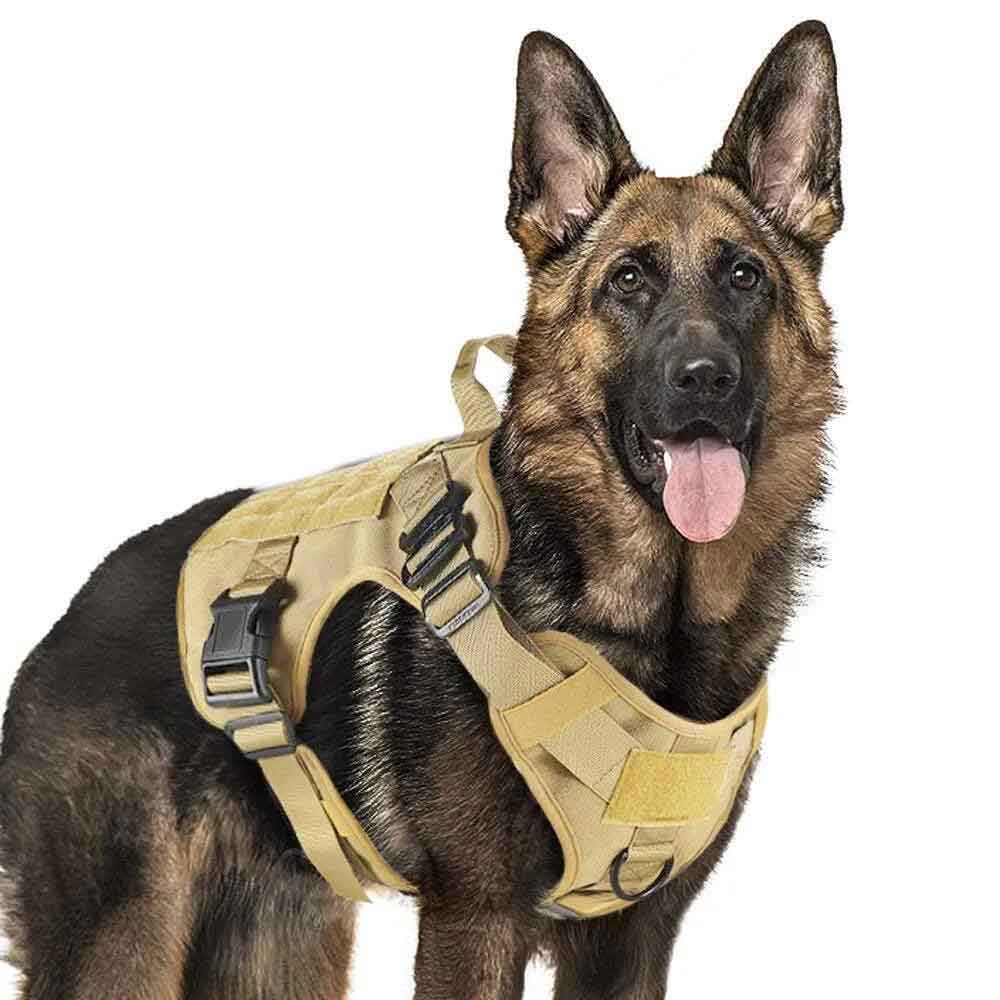 Harnais pour chien K9 tactique No-Pull - Contrôle et entraînement optimaux