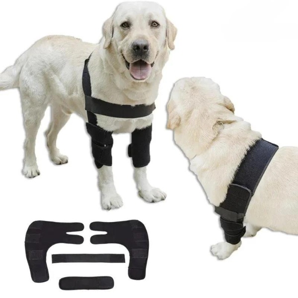 Dog Front Leg & Knee Brace/Adjustable Canine Elbow Protector Brace