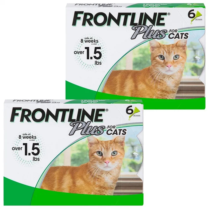 Traitement Frontline Plus contre les puces et les tiques pour chats et chatons