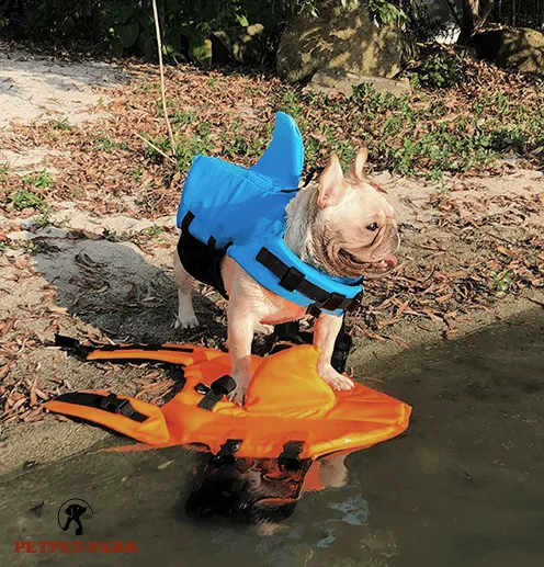 Gilet de Sauvetage Avancé pour Chiens / Style Requin|Gilet de Surf et Bouée de Sauvetage pour Chien