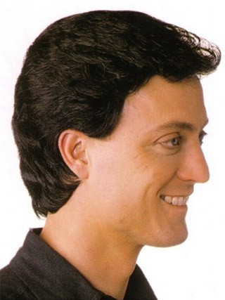 Straight Synthetic Capless Mens Wig