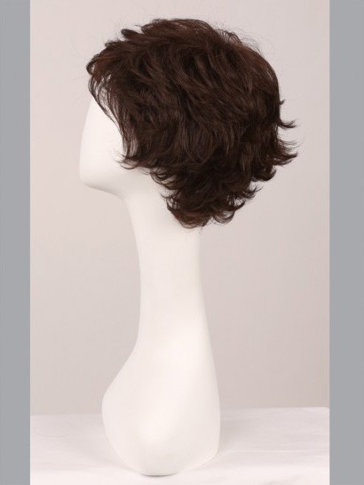 Polished Lace Front Wavy Stylish Wig